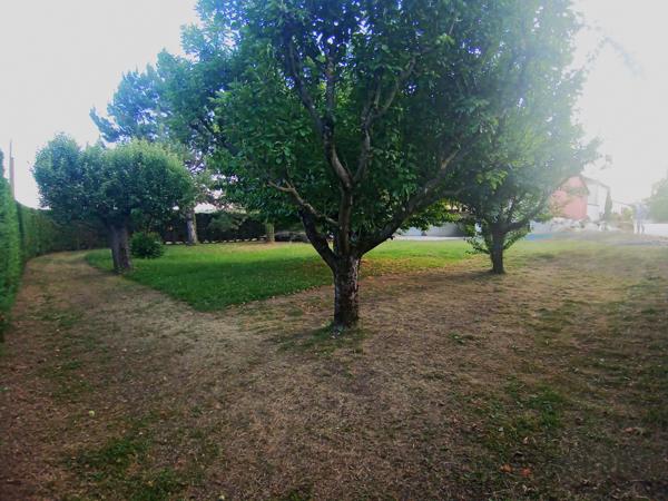 Terrain - 1400 m² Exclusivité efficity