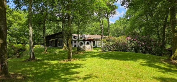 Maison de maître  258 m², 4 chambres parc de 2,2 hectares,