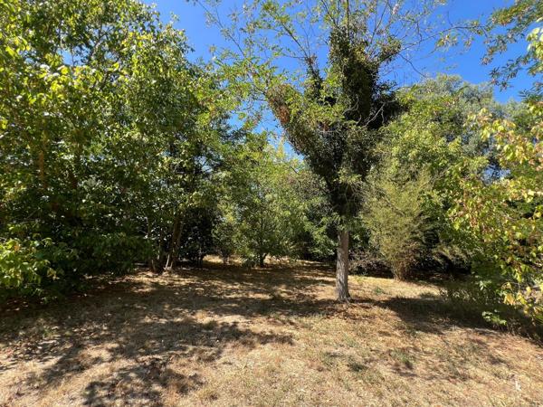 ENSEMBLE IMMOBILIER TERRAIN DIVISIBLE CONSTRUCTIBLE