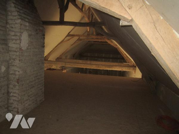 Grande propriété de 463 m2 habitable, grande dépendance et étang 6800 m2