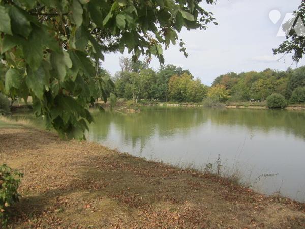 Grande propriété de 463 m2 habitable, grande dépendance et étang 6800 m2