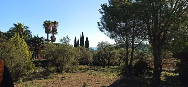 Sainte-Maxime (83120) TERRAIN CONSTRUCTIBLE PREMIUM - GOLFE SAINT-TROPEZ