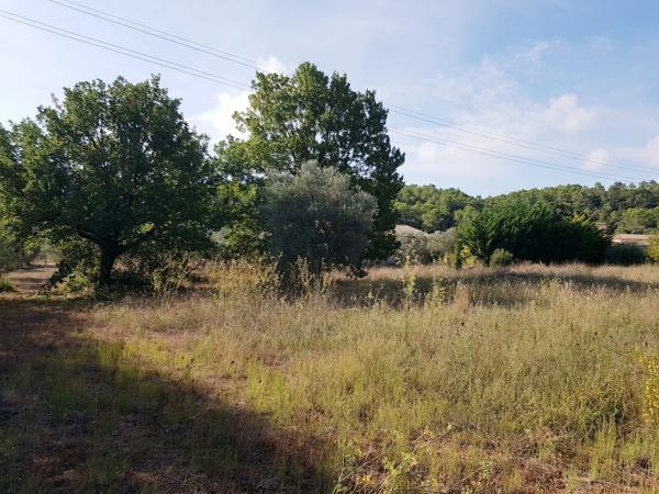 Vente / Terrain constructible