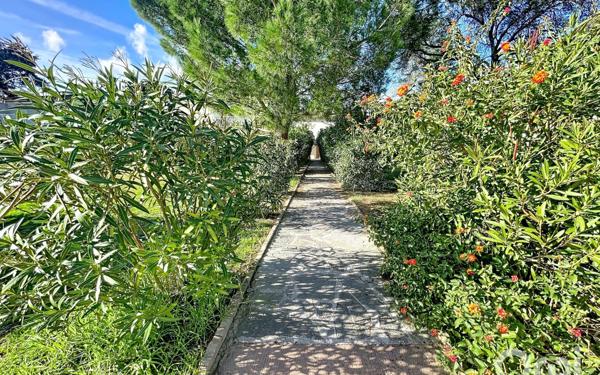 Appartement à vendre    3 pièces •  Lecci