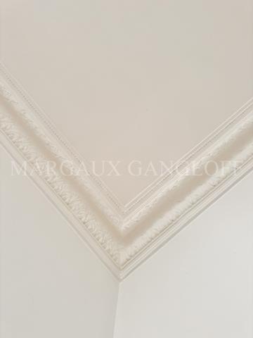 Appartement 2 pièces - 53 m² Exclusivité efficity