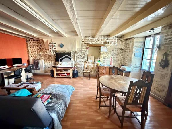 MAISON EN PIERRE 3 CHAMBRES PORCHE ET COURS A CHENAY !
