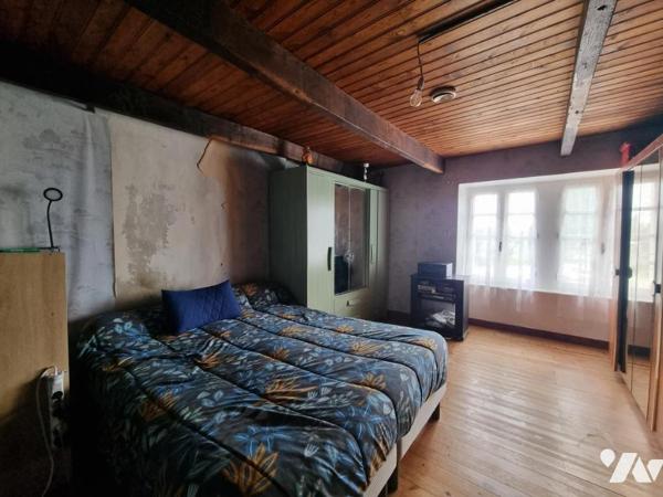 Maison +dépendances et bois