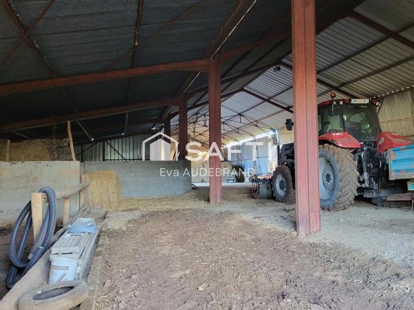 Hangar avec panneaux photovotaïques et parcelle constructible