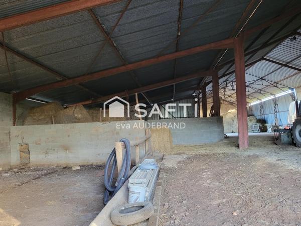 Hangar avec panneaux photovotaïques et parcelle constructible