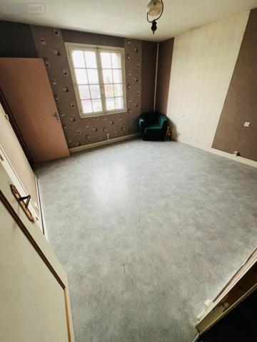 Maison à vendre à Châtillon-sur-Indre dans l'Indre (36700), ref : 016/402