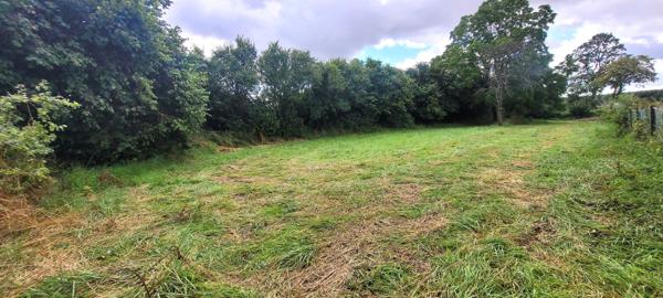 Mercy-le-Haut (54560) TERRAIN CONSTRUCTIBLE DE 11 ARES