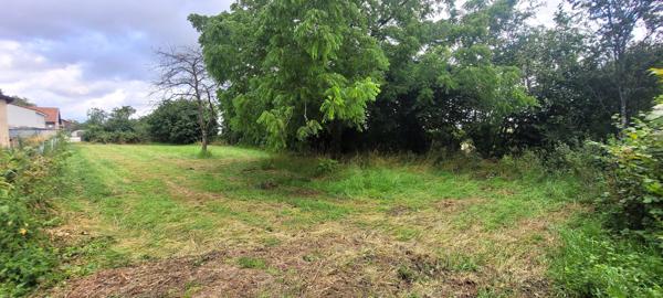 Mercy-le-Haut (54560) TERRAIN CONSTRUCTIBLE DE 11 ARES