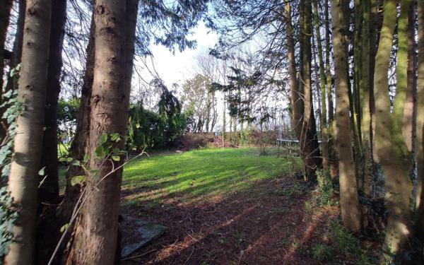 Maison à vendre    3 pièces •  Héauville