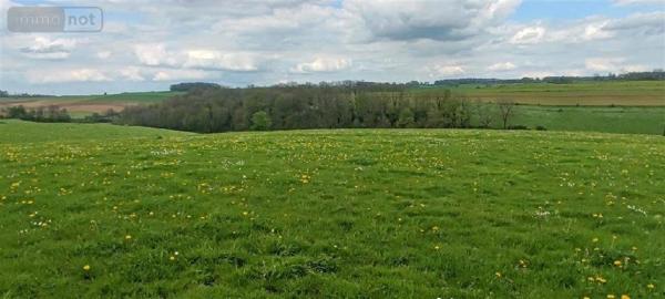 Terrain à Batir à vendre à Poix-Terron dans les Ardennes (08430), ref : 2023 19   
SECTEUR POIX TERRON