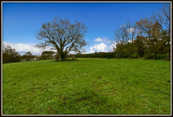 PROCHE PEYREHORADE ( Commune de Saint Cricq du Gave ) - TERRAIN A BATIR - 1156 m2
