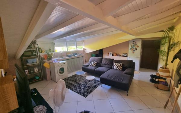 Appartement à louer    2 pièces •  Les Abymes