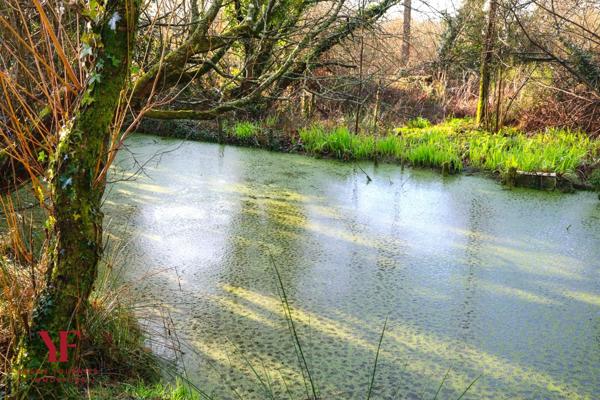 Dirinon (29460) Propriété de charme avec parc de 1,6 hectare – Dirinon – Aux portes de Brest