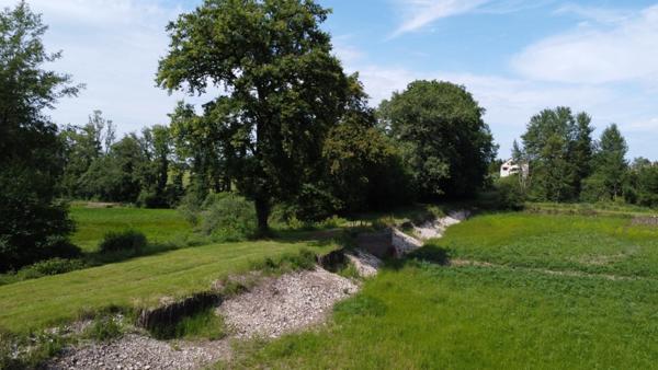 Dpt Jura (39), à vendre CHAUMERGY terrain