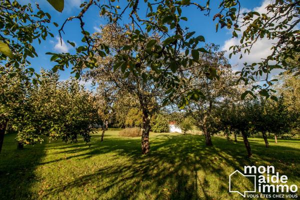 Maison plain-pied rénovée et vaste terrain constructible