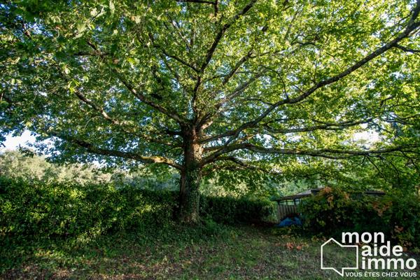 Maison plain-pied rénovée et vaste terrain constructible