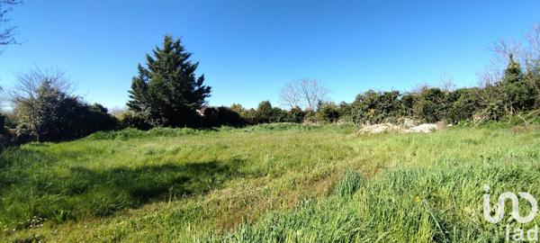 Terrain à vendre 1 070 m² Pouillé