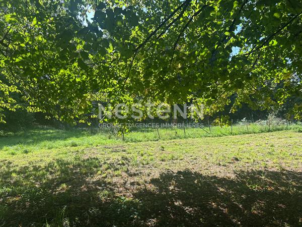 Authentique et charmante longère en pierre avec grand jardin arboré !