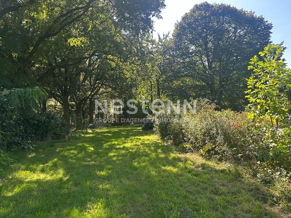 Authentique et charmante longère en pierre avec grand jardin arboré !