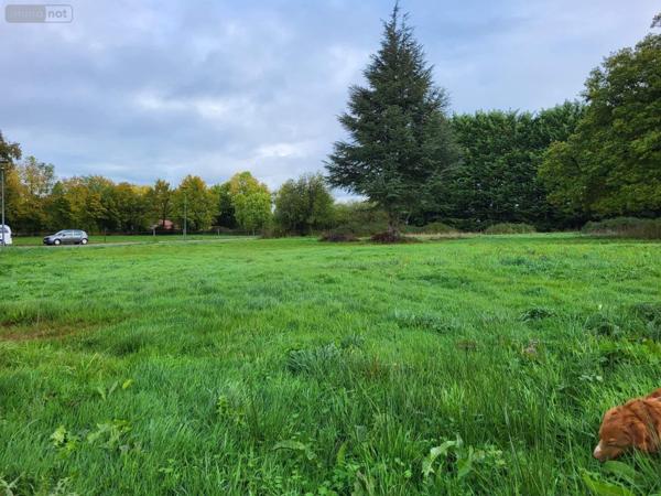 Terrain à Batir à vendre à Dun-le-Palestel en Creuse (23800), ref : 1242