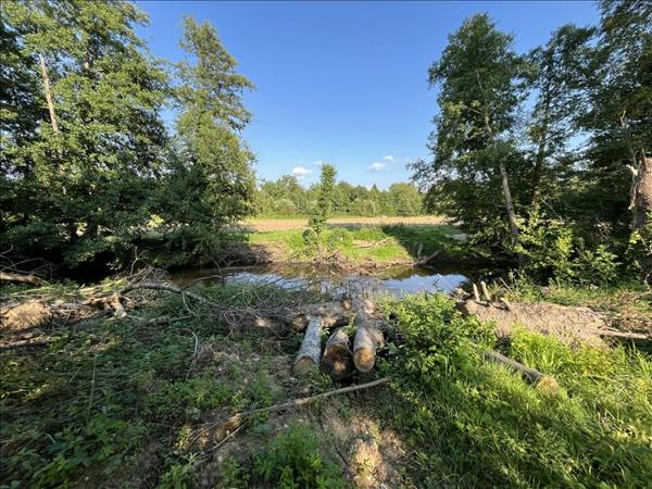 Terrain à vendre |  La Châtre |  8967 m²
