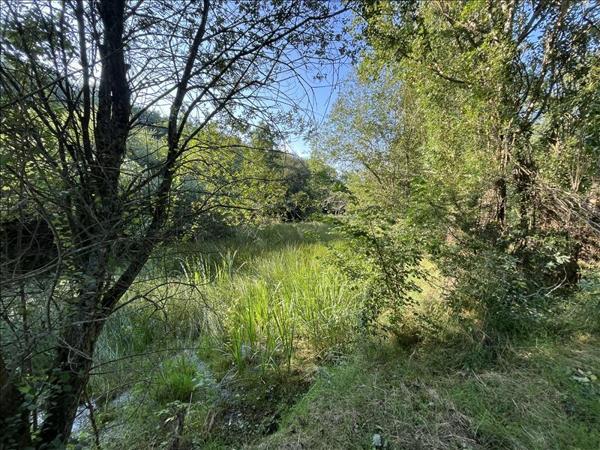 Terrain à vendre |  La Châtre |  8967 m²