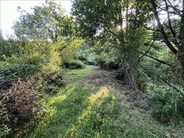 Terrain à vendre |  La Châtre |  8967 m²