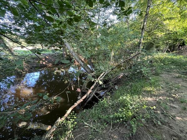 Terrain à vendre |  La Châtre |  8967 m²