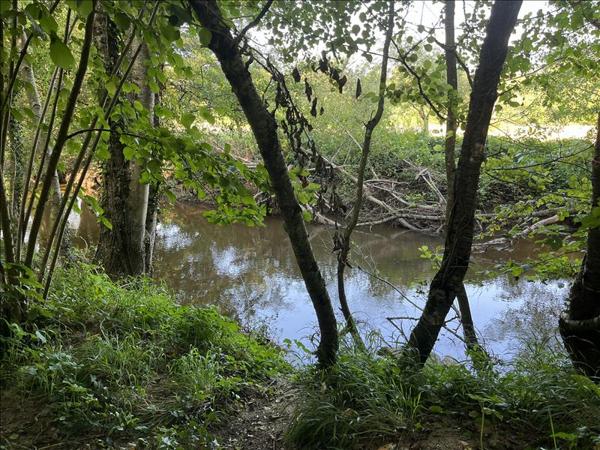 Terrain à vendre |  La Châtre |  8967 m²