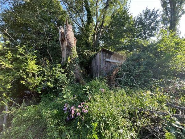 Terrain à vendre |  La Châtre |  8967 m²