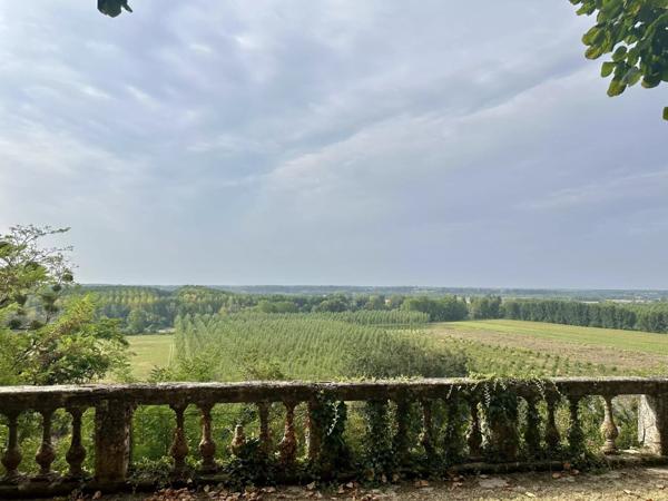 Vente Château 22 pièces 600 m2 à La Réole