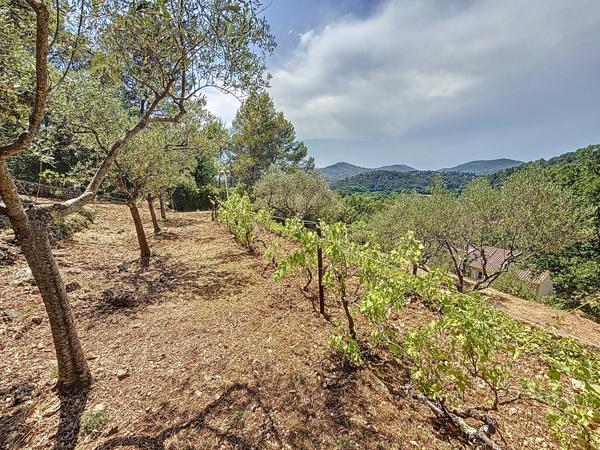 Flassans-sur-Issole (83340) Maison Flassans-sur-Issole, 130m² au total, 3900m² de terrain, piscine, garage, vue dominante sur le château