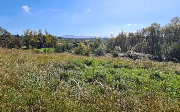 Terrain à vendre    Saint-Pierre-d'Irube