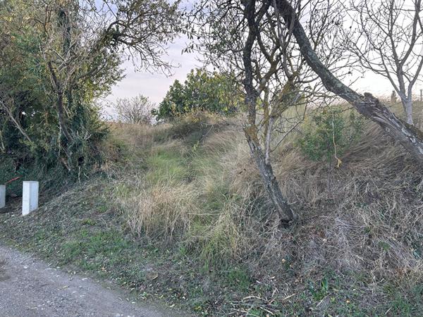 Terrain Villasavary 1100 m2