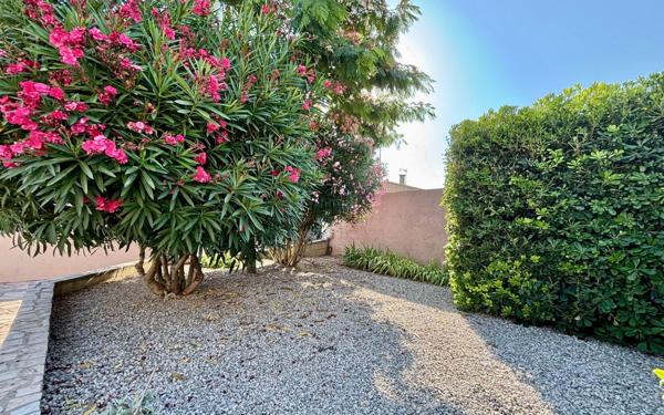 Maison à vendre    3 pièces •  Balaruc-le-Vieux