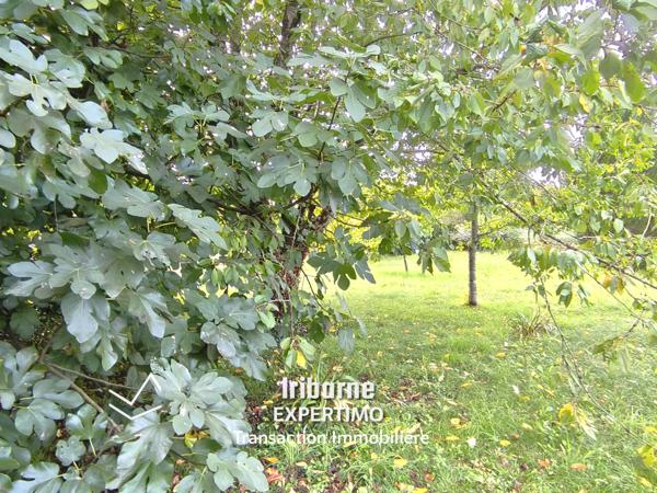 Saintes (17100) Maison avec jardin