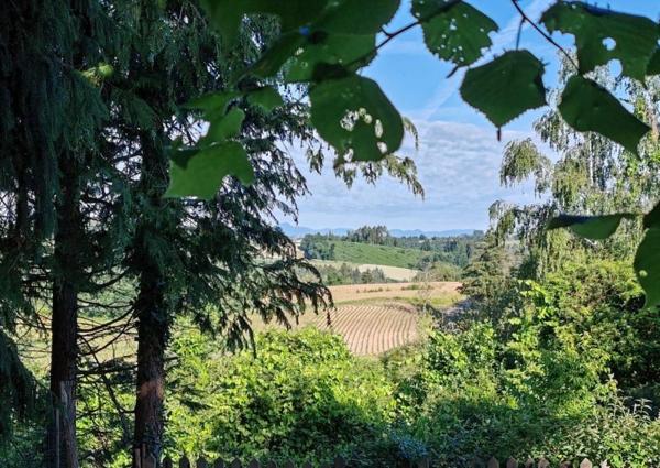 Vente / Maison avec dépendance à Olliergues (63880)