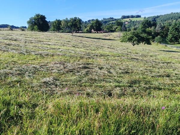 Vente / Maison avec dépendance à Olliergues (63880)