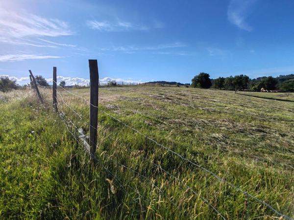 Vente / Maison avec dépendance à Olliergues (63880)