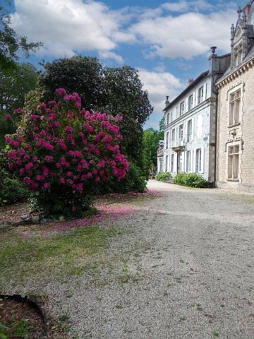 Château à vendre 23 pièces de 693 m²