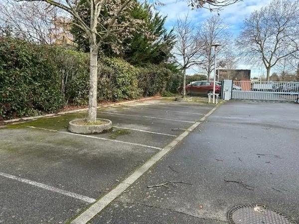 Local professionnel à vendre 850m²