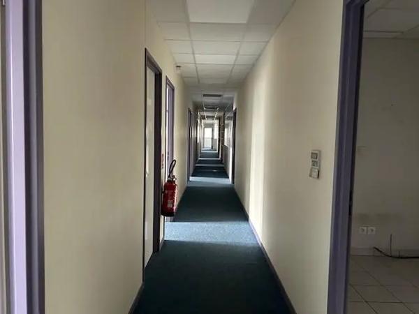 Local professionnel à vendre 850m²