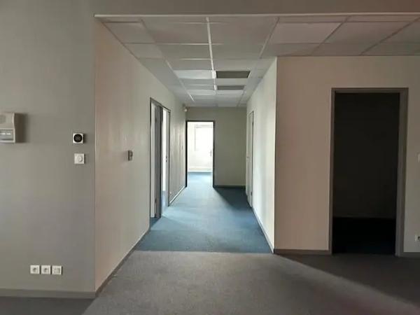 Local professionnel à vendre 850m²