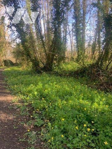 Vente Terrain à bâtir à Briarres-sur-Essonne