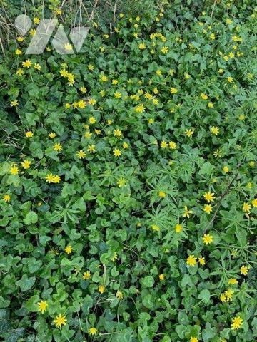 Vente Terrain à bâtir à Briarres-sur-Essonne