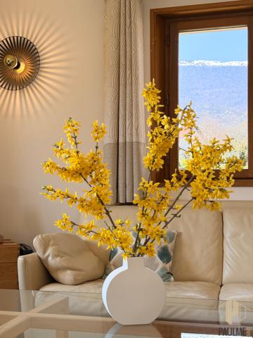 Thoiry (01710) maison individuelle T7 THOIRY